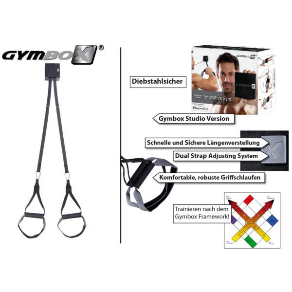 The Gymbox Suspension Trainer