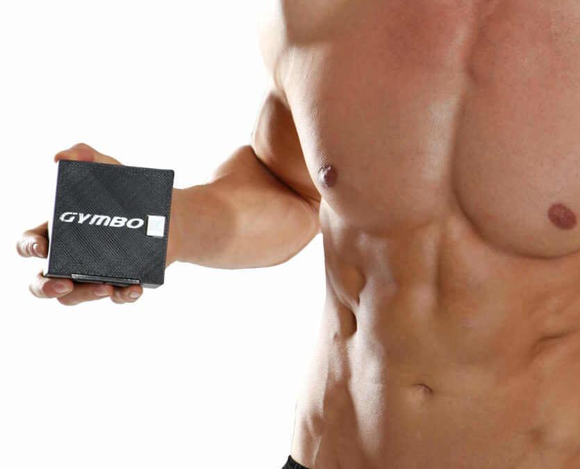 Gymbox Schlingentrainer mobile